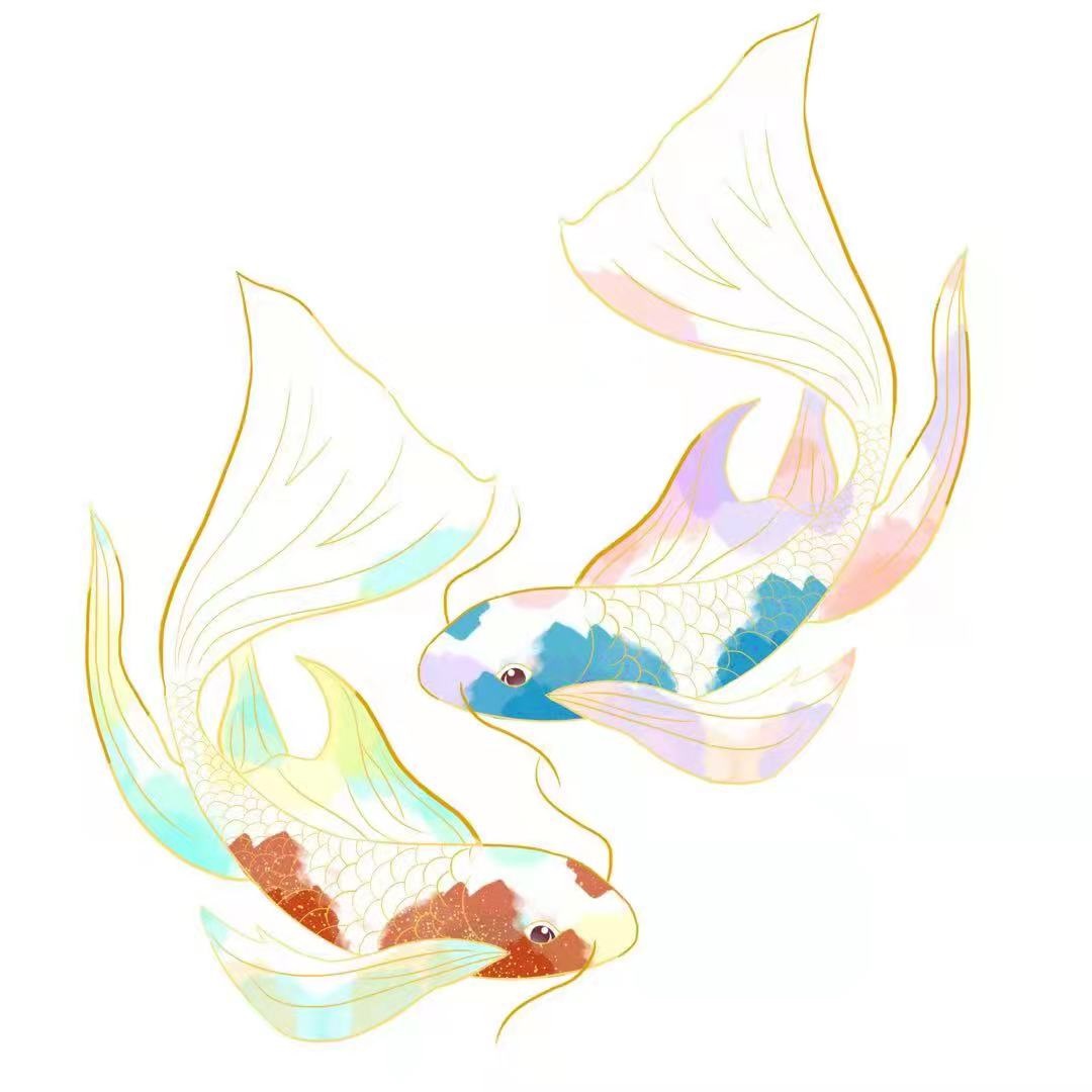 锦鲤口袋