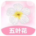 五叶花