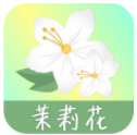 茉莉花