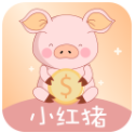 小红猪