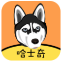 哈士奇