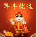牛牛优选