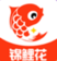 锦鲤花