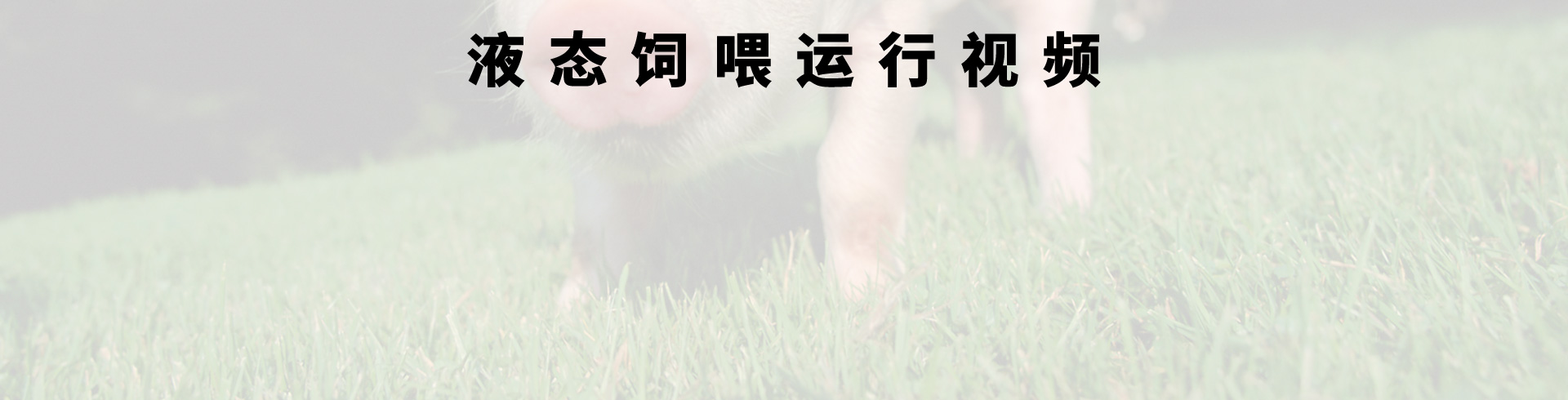 AG�����_��ҳ����