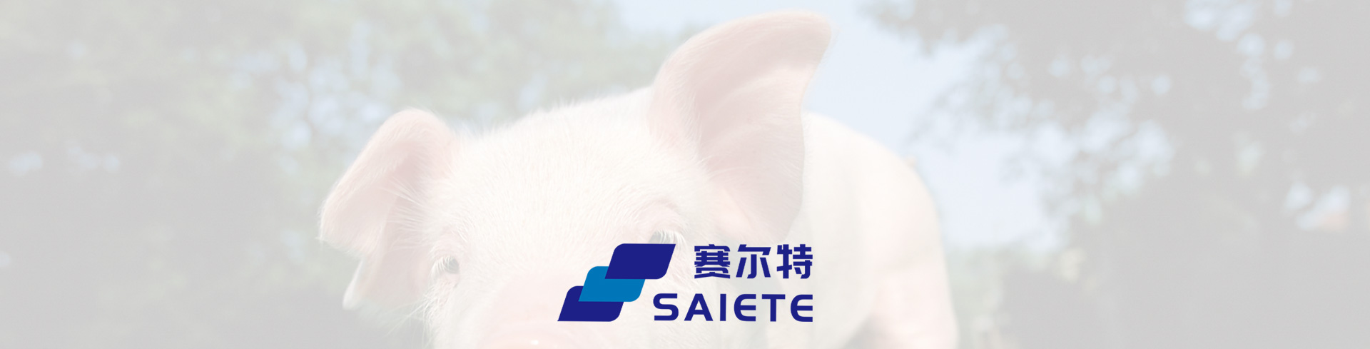 AG�����_��ҳ����