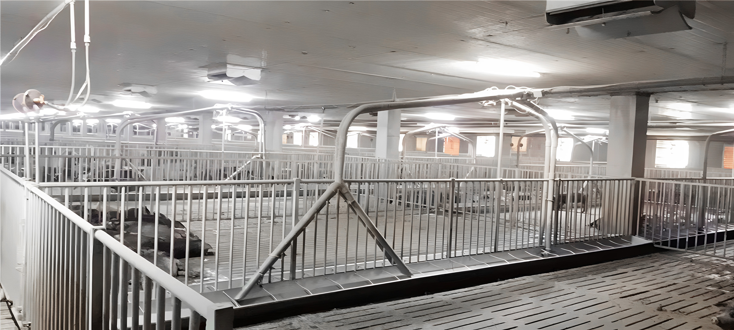 ��ֳ����