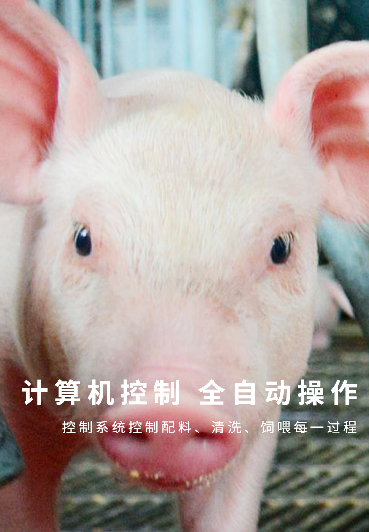 �����Զ���