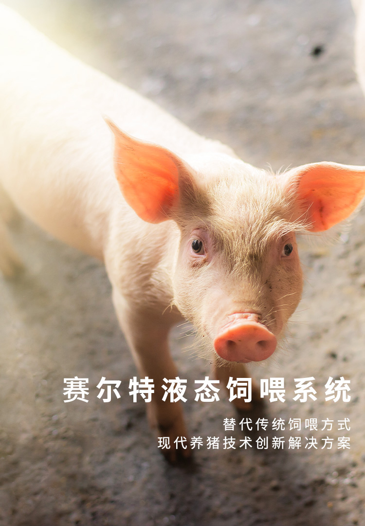 �����Զ���