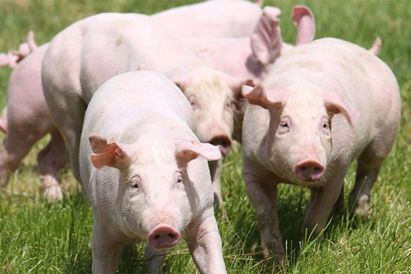 2025��9�µ�1�ܣ������������Ǯ��������������������������Ǯ�����µ����������������ϲ�Ʒ��Ǯ���ȳ�ƽ