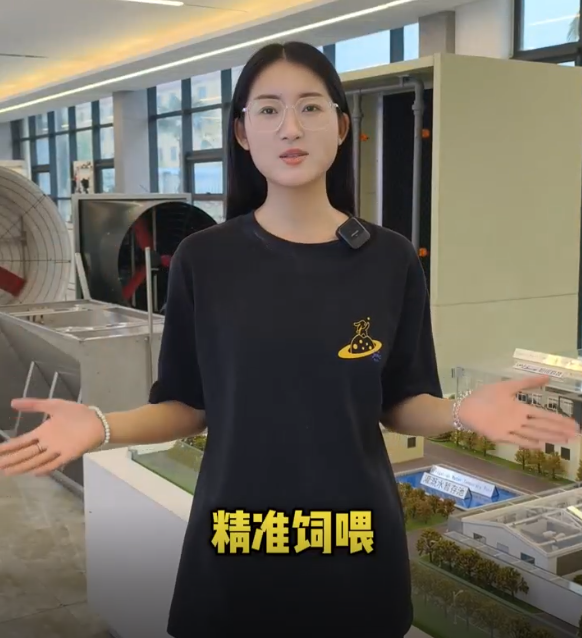 �������ƾ�׼��ι