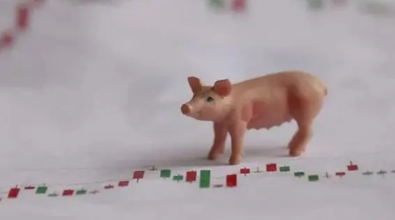 01e719d97435eb8e5c4b1662cdfa22e563658887